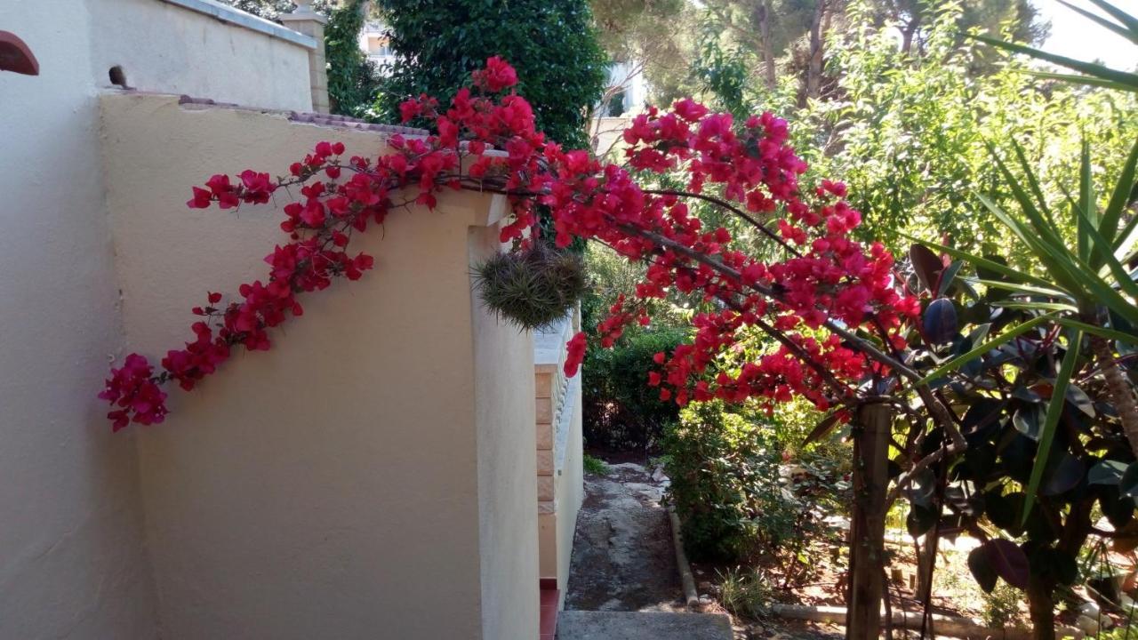 Willa Casa Montse Cala Galdana  Zewnętrze zdjęcie